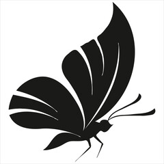 Flat butterflies flying background