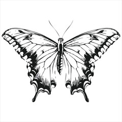 Flat butterflies flying background
