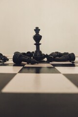 chess king isolated on a chess board.