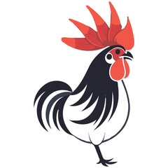 Chicken vector on a white background