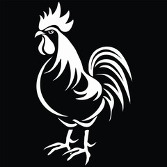 Chicken vector on a white background