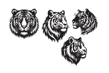 Create Vector a tiger head with adobe illustrator