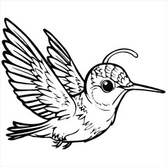 Obraz premium bird vector on a white background