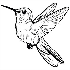 Fototapeta premium bird vector on a white background