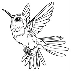 bird vector on a white background