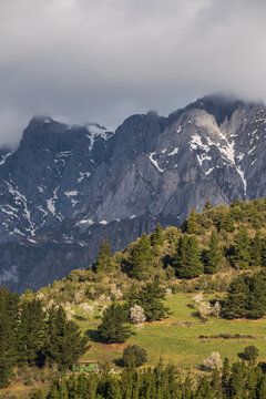 Majestic mountain peaks overshadow lush green forest