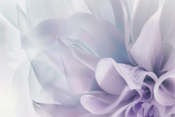 Abstract flower petals.. Floral flower natural design. Graphic, sketch drawing. freesia. Design of albums, notebooks, banners, postcards, posters