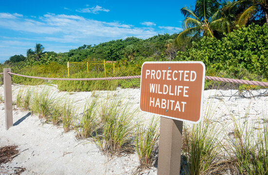 A sea turtle nesting site on the beach in Sanibel, Florida
