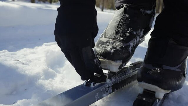 Skier puts foot onto ski fastening boot in snowy forest in winter. Male athlete prepares gear for successful skiing session. Man engages in securing process for comfortable and enjoyable experience