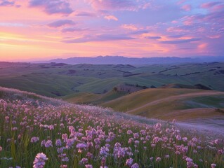 Obraz premium A beautiful landscape of rolling hills covered in purple flowers with a vibrant sunset sky. AI.