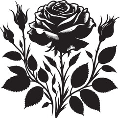 pretty rose flower silhouette vector art illustration design