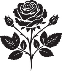 pretty rose flower silhouette vector art illustration design