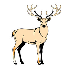 Obraz premium elegant vector brown reindeer, side profile, prominent antlers, smooth, minimalist