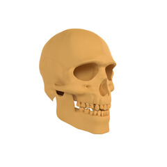human skull isolated on transparent