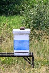 Beehive box for honey harvesting 