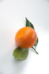 Mandarin fruit with leaves, on light background, the mandarin orange, Citrus reticulata