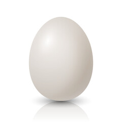 Vector Realistic White Chicken Egg Icon Closeup Isolated. Glossy Chicken Egg. Vector Whole Egg with Reflection. Front View