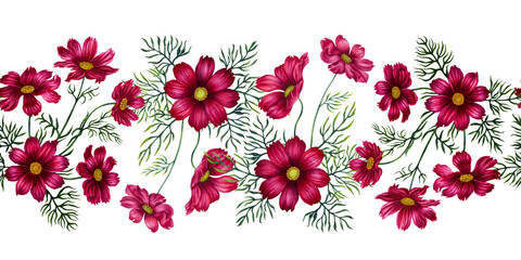 Watercolor seamless border of red and purple cosmos flowers. Illustration for design of templates, postcards for Mother's Day, Valentine's Day, textiles, fabrics, perfume, aromatherapy, alchemy, magic