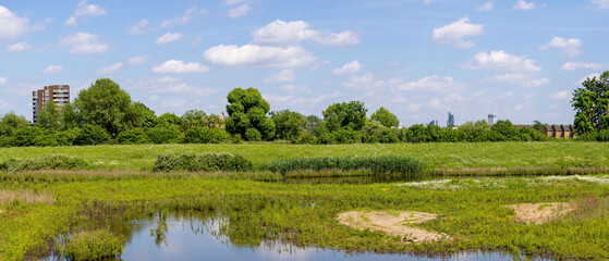 Panorama of London wetlands with bird tower visible on sunny day