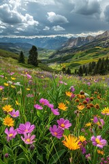 Fototapeta premium Wildflowers Bloom in Rocky Mountain Meadow