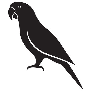 recommend clip art: Parrot Vector Silhouette illustration, Parrot silhouette vector Art,Icons, and Graphics 