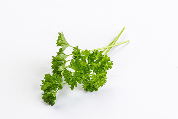 Green parsley leaves heap isolated