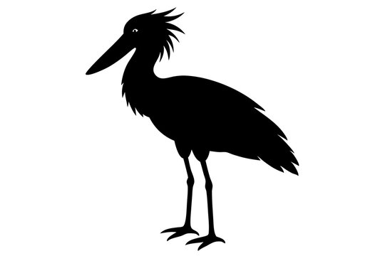 recommend clip art: Shoebill silhouette vector, Shoebill Bird