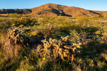 Lihue Calel National Park Sierra Landscape, La Pampa, Argentina
