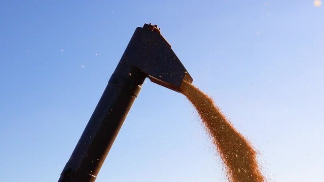 Graneleira descarregando gr&atilde;os de soja sob o c&eacute;u azul