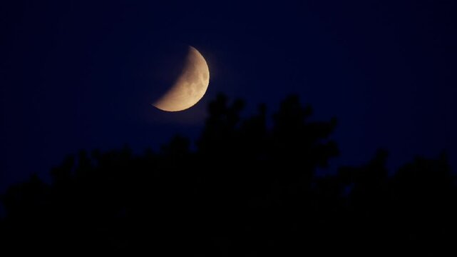 Lunar Eclipse 2022, Moon in the Night Sky. Bloodmoon