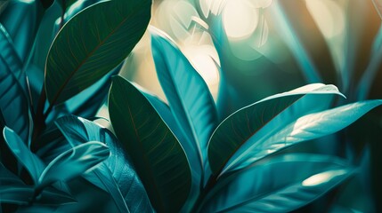 Green tropical plant close-up
