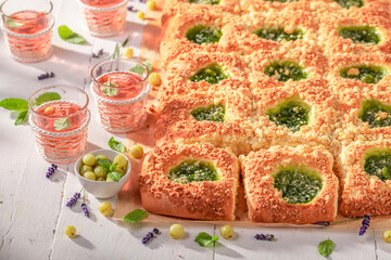 Traditional gooseberry yeast cake freshly baked in summer kitchen.