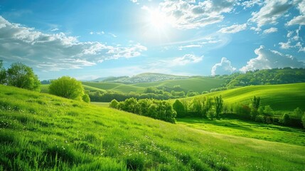 Fototapeta premium Vibrant green landscapes of springtime rural scenery sunny day wide view