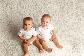 twin boys sitter. twin brothers at the age of one year old