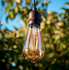 Close-up of a vintage-style Edison bulb hanging outdoors with a blurred green foliage background, capturing the warm glow and intricate filament details in natural light.
