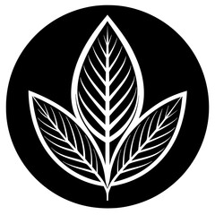 A Young tea leaves logo icon vector illustration.