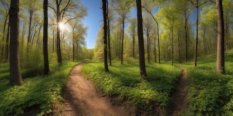 Fototapeta premium spring photo of a beautiful wide format image of a cou background