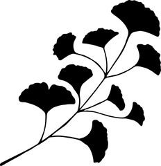 Ginkgo biloba leaves. Hand drawn leaves.