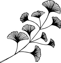 Ginkgo biloba leaves. Hand drawn leaves.
