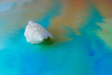 Shell on background stained with watercolor