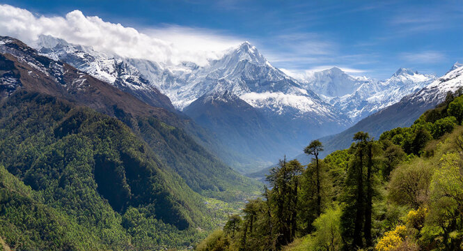 lush green himalayan forest and valley with snow mountain view