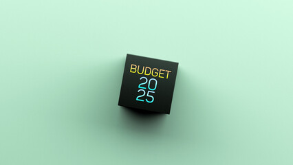 BUDGET 2025. Budget for 2025 text,cube inscription,copy space,concept,wallpaper.3D render