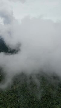 Aerial video over Mindo Cloud Forest, Ecuador