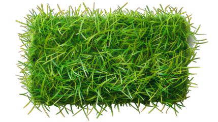 Rectangle green grass button isolated on white created with Generative AI