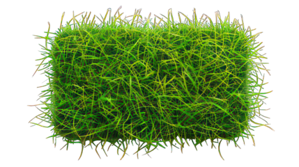 Rectangle green grass button isolated on white created with Generative AI