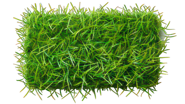 Rectangle green grass button isolated on white created with Generative AI