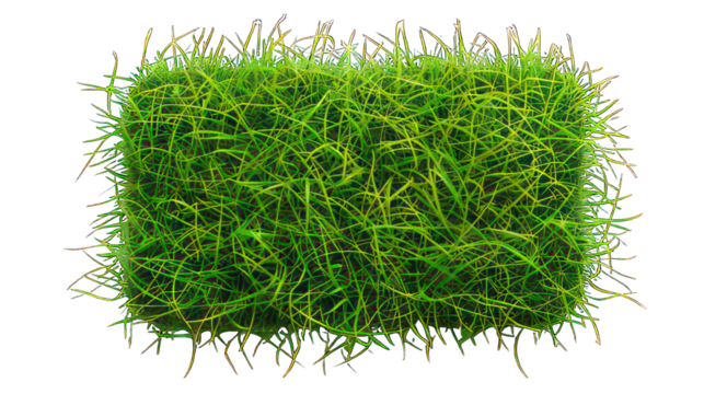 Rectangle green grass button isolated on white created with Generative AI