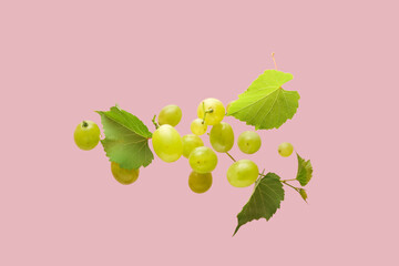 Flying sweet green grapes with leaves on pink background