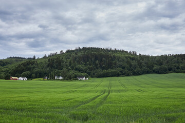 A small farm amidst green meadows, located in central Norway