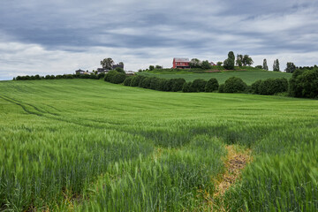 A small farm amidst green meadows, located in central Norway